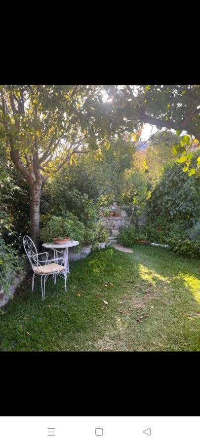 Casa Nani Βίλα Benaocaz Εξωτερικό φωτογραφία