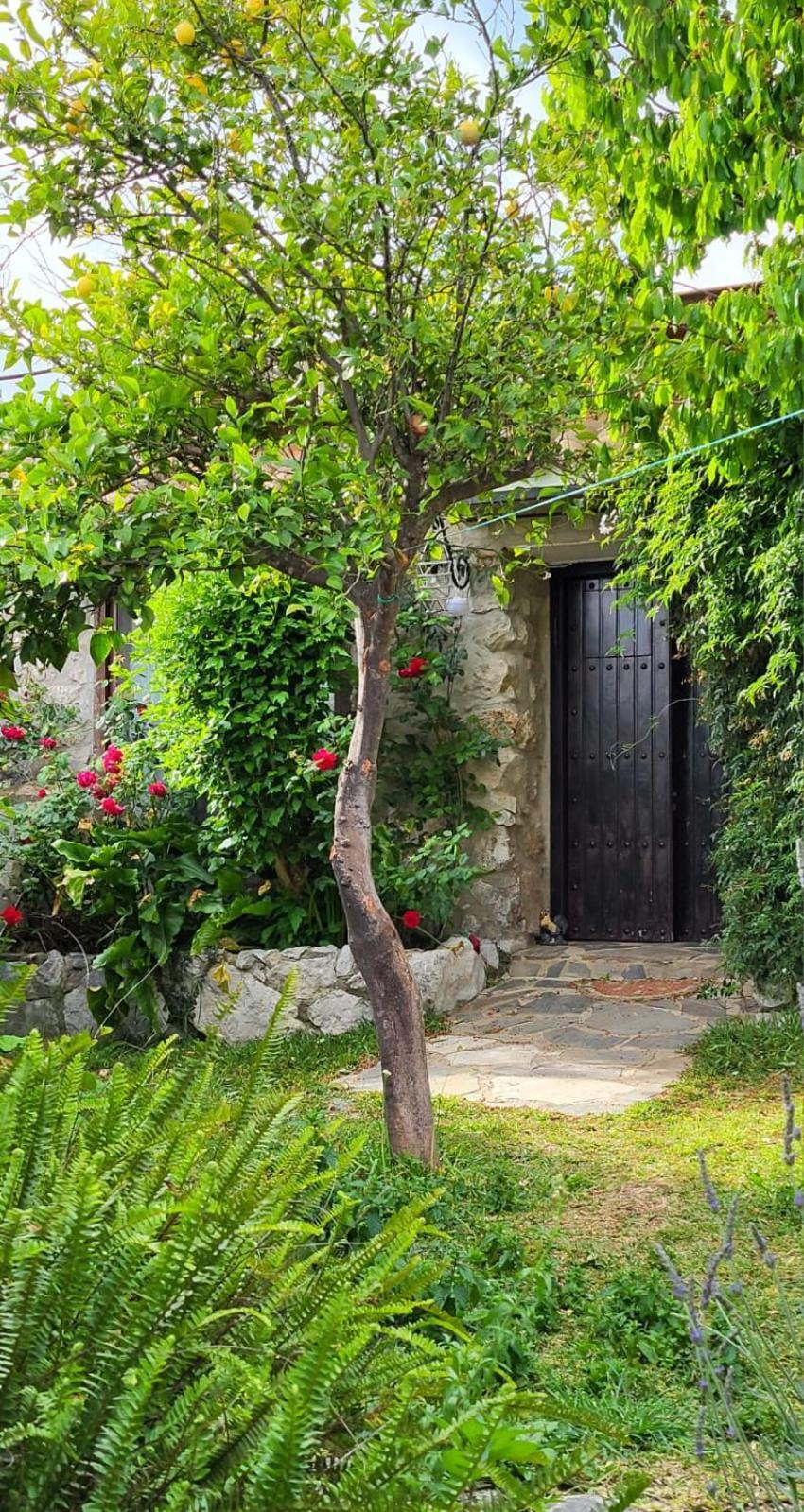 Casa Nani Βίλα Benaocaz Εξωτερικό φωτογραφία