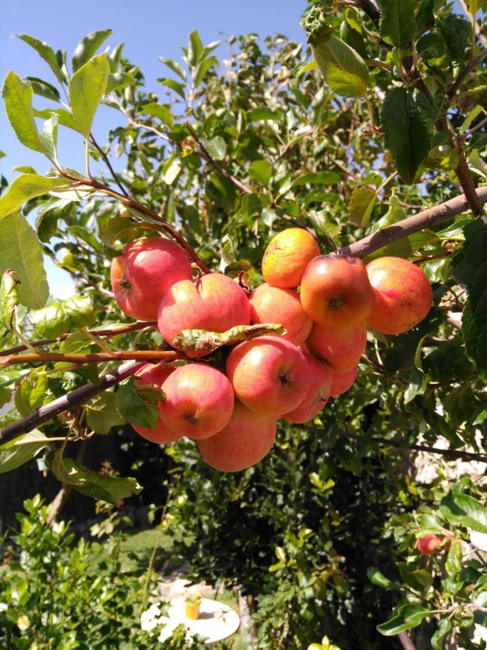 Casa Nani Βίλα Benaocaz Εξωτερικό φωτογραφία