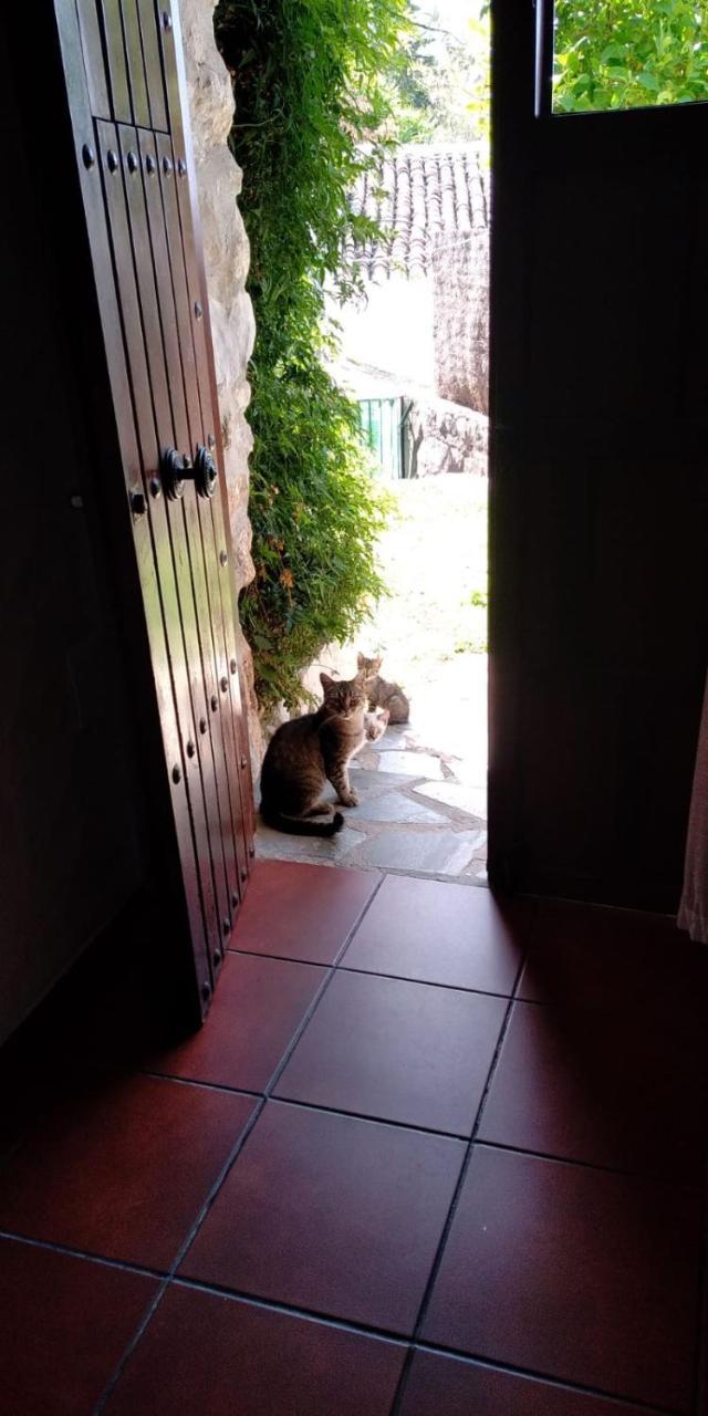 Casa Nani Βίλα Benaocaz Εξωτερικό φωτογραφία